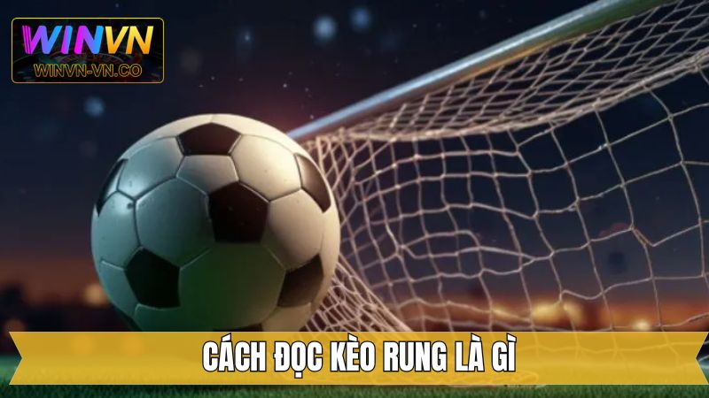 Kèo Rung Là Gì? Hình Thức Cá Cược Sôi Động Tại Winvn 3 Hướng dẫn cách thức đọc kèo chuẩn xác nhất