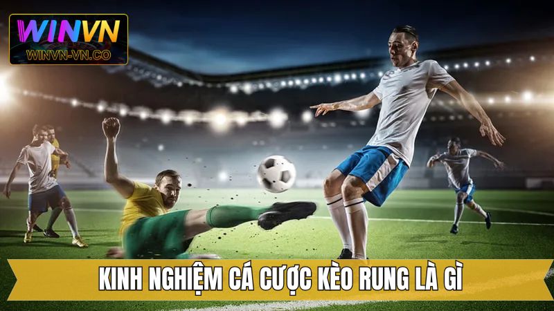 Kèo Rung Là Gì? Hình Thức Cá Cược Sôi Động Tại Winvn 4 Kinh nghiệm chinh phục kèo rung hiệu quả nhất