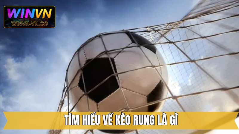 Kèo Rung Là Gì? Hình Thức Cá Cược Sôi Động Tại Winvn 2 Cược thủ cần nắm vững kèo rung là gì
