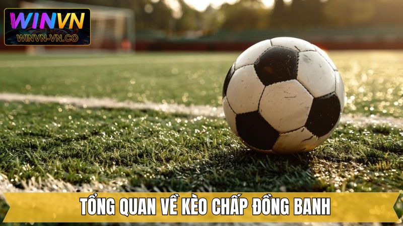 Kèo Chấp Đồng Banh - Chiến Thuật Đặt Cược Từ Cao Thủ Winvn 2 Một vài thông tin sơ lược về kèo đồng banh nên nắm